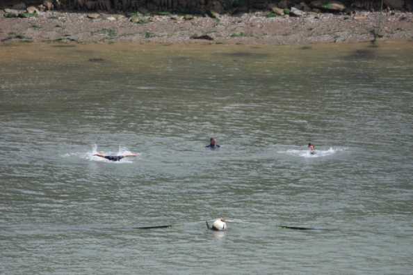 05 July 2020 - 11-47-36
There's always someone who wants to demonstrate the butterfly stroke. Some can even do it.
---------------------------
Swimming in the river Dart, Dartmouth